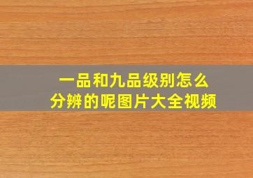 一品和九品级别怎么分辨的呢图片大全视频