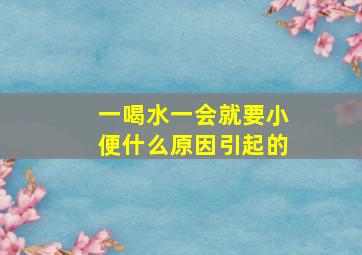 一喝水一会就要小便什么原因引起的