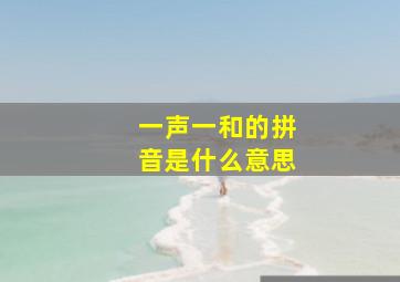 一声一和的拼音是什么意思