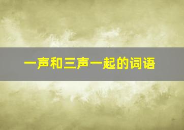 一声和三声一起的词语