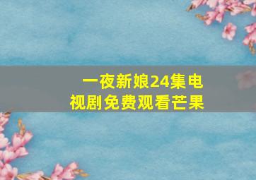 一夜新娘24集电视剧免费观看芒果