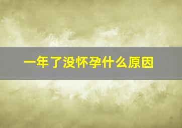 一年了没怀孕什么原因