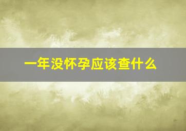 一年没怀孕应该查什么