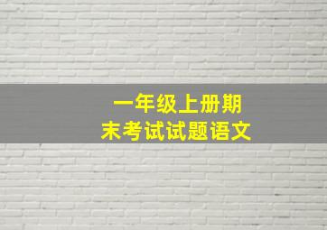 一年级上册期末考试试题语文