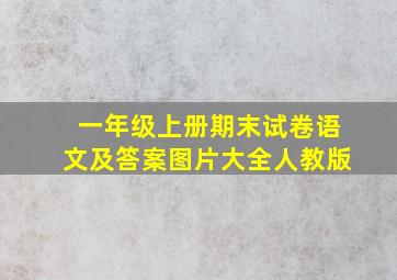 一年级上册期末试卷语文及答案图片大全人教版