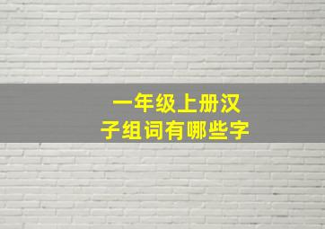 一年级上册汉子组词有哪些字