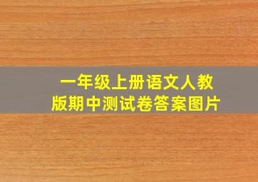 一年级上册语文人教版期中测试卷答案图片