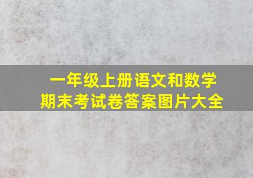 一年级上册语文和数学期末考试卷答案图片大全