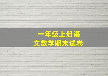 一年级上册语文数学期末试卷