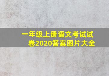 一年级上册语文考试试卷2020答案图片大全