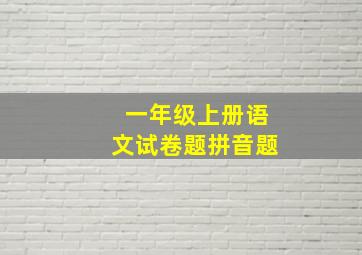 一年级上册语文试卷题拼音题