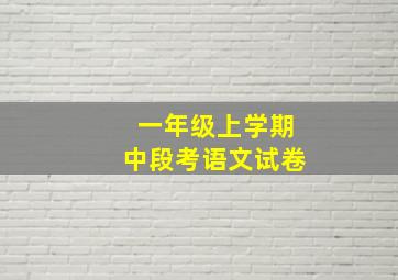 一年级上学期中段考语文试卷