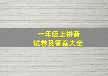 一年级上拼音试卷及答案大全