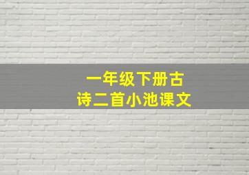 一年级下册古诗二首小池课文