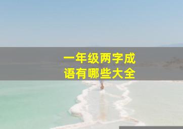 一年级两字成语有哪些大全