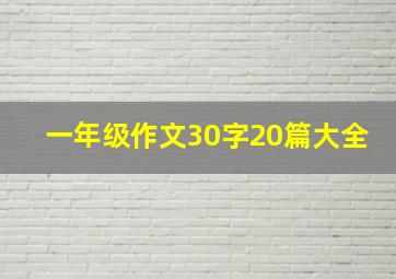 一年级作文30字20篇大全