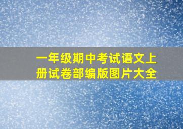 一年级期中考试语文上册试卷部编版图片大全