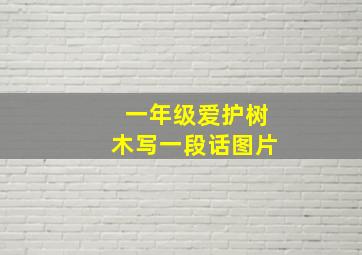 一年级爱护树木写一段话图片