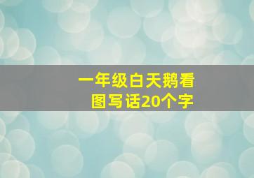 一年级白天鹅看图写话20个字