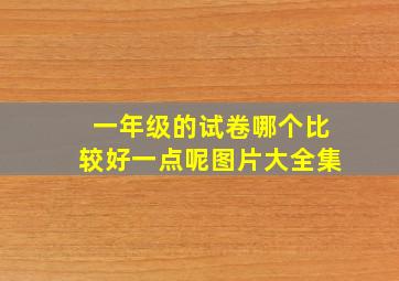 一年级的试卷哪个比较好一点呢图片大全集