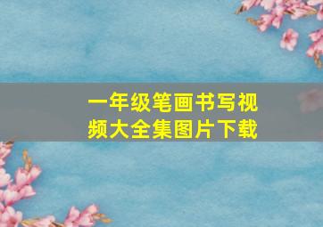 一年级笔画书写视频大全集图片下载