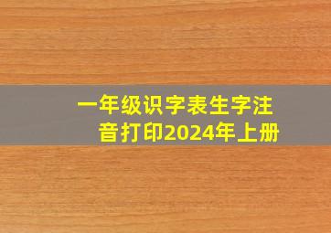 一年级识字表生字注音打印2024年上册