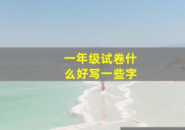 一年级试卷什么好写一些字