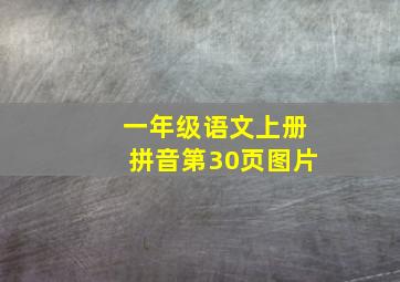 一年级语文上册拼音第30页图片