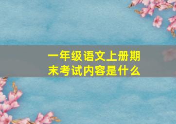 一年级语文上册期末考试内容是什么