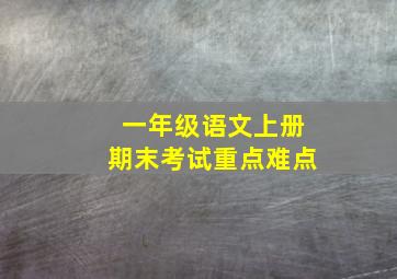 一年级语文上册期末考试重点难点