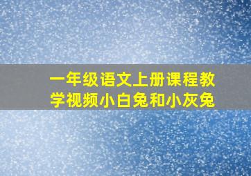 一年级语文上册课程教学视频小白兔和小灰兔