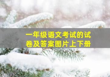 一年级语文考试的试卷及答案图片上下册