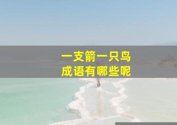 一支箭一只鸟成语有哪些呢