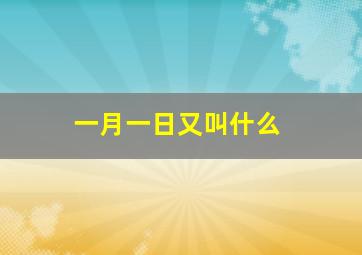 一月一日又叫什么