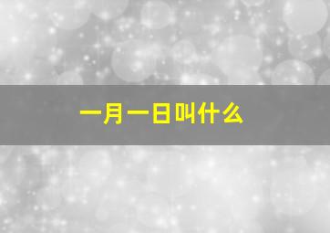 一月一日叫什么