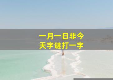 一月一日非今天字谜打一字