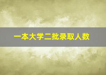 一本大学二批录取人数