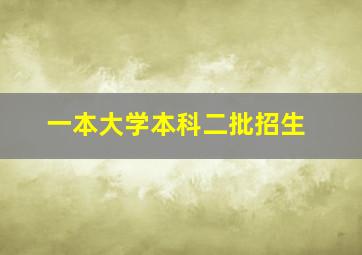 一本大学本科二批招生