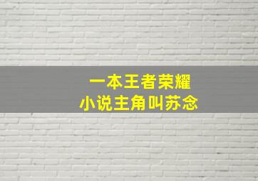 一本王者荣耀小说主角叫苏念