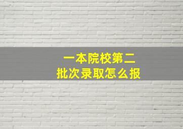 一本院校第二批次录取怎么报