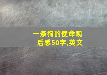 一条狗的使命观后感50字,英文