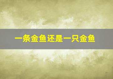 一条金鱼还是一只金鱼