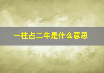 一柱占二牛是什么意思