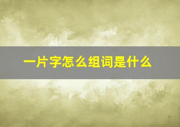 一片字怎么组词是什么