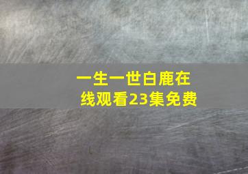 一生一世白鹿在线观看23集免费