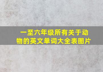 一至六年级所有关于动物的英文单词大全表图片