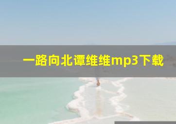 一路向北谭维维mp3下载