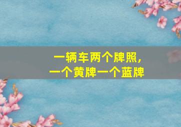 一辆车两个牌照,一个黄牌一个蓝牌