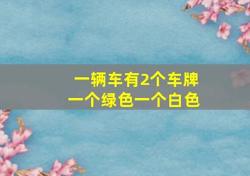 一辆车有2个车牌一个绿色一个白色