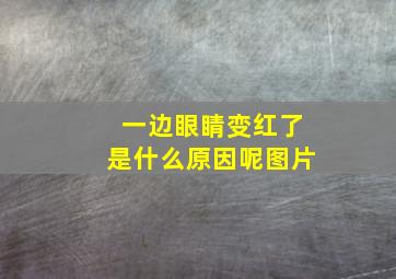 一边眼睛变红了是什么原因呢图片